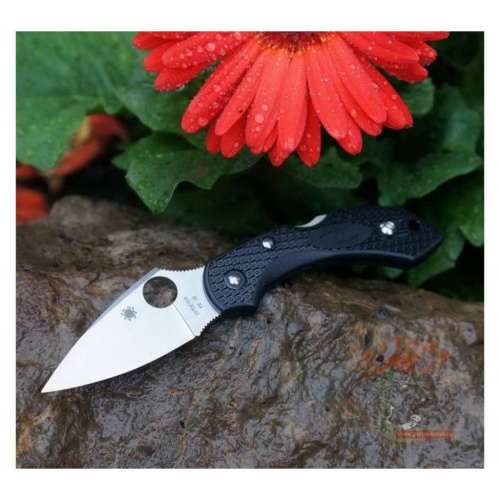 Складной нож Spyderco Dragonfly 2 - 28PBK2 фото 20