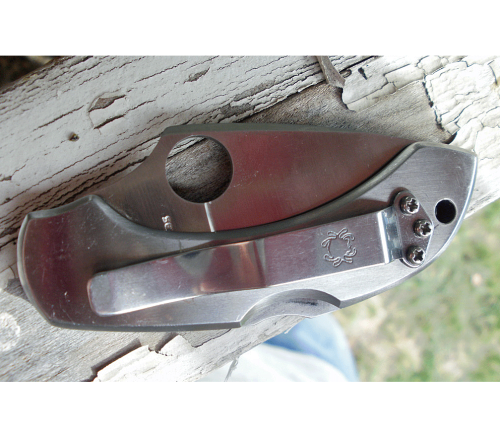 Складной нож Spyderco Dragonfly 2 Tattoo - 28PT фото 18