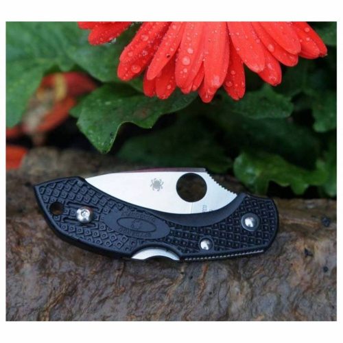 Складной нож Spyderco Dragonfly 2 - 28PBK2 фото 18