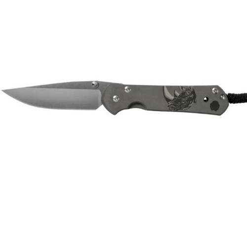 Складной нож Chris Reeve Large Sebenza 21 фото 5
