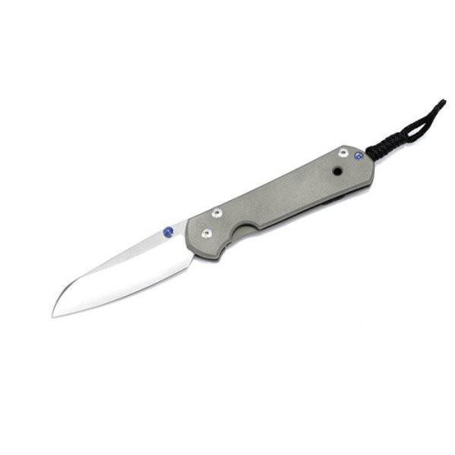 Складной нож Chris Reeve Large Sebenza 21 Insingo фото 3
